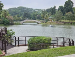 Marsiling Park Svg+xml,%3Csvg%20xmlns%3D%22http%3A%2F%2Fwww.w3