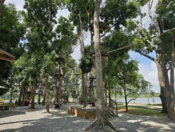 Bedok Reservoir Park Svg+xml,%3Csvg%20xmlns%3D%22http%3A%2F%2Fwww.w3