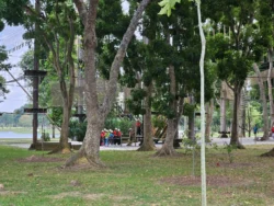 Bedok Reservoir Park Svg+xml,%3Csvg%20xmlns%3D%22http%3A%2F%2Fwww.w3