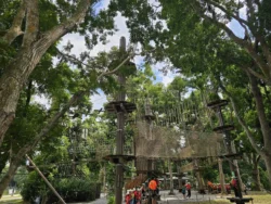 Bedok Reservoir Park Svg+xml,%3Csvg%20xmlns%3D%22http%3A%2F%2Fwww.w3