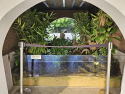 Singapore Botanic Gardens Svg+xml,%3Csvg%20xmlns%3D%22http%3A%2F%2Fwww.w3