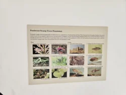 Singapore Botanic Gardens Svg+xml,%3Csvg%20xmlns%3D%22http%3A%2F%2Fwww.w3