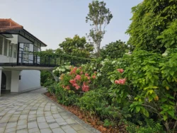 Singapore Botanic Gardens Svg+xml,%3Csvg%20xmlns%3D%22http%3A%2F%2Fwww.w3