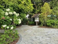 Singapore Botanic Gardens Svg+xml,%3Csvg%20xmlns%3D%22http%3A%2F%2Fwww.w3