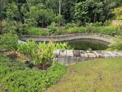 Singapore Botanic Gardens Svg+xml,%3Csvg%20xmlns%3D%22http%3A%2F%2Fwww.w3