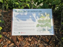 Singapore Botanic Gardens Svg+xml,%3Csvg%20xmlns%3D%22http%3A%2F%2Fwww.w3