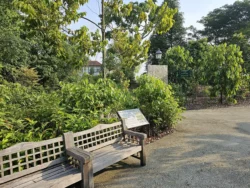 Singapore Botanic Gardens Svg+xml,%3Csvg%20xmlns%3D%22http%3A%2F%2Fwww.w3