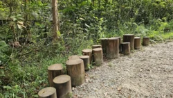 Rifle Range Nature Park Svg+xml,%3Csvg%20xmlns%3D%22http%3A%2F%2Fwww.w3