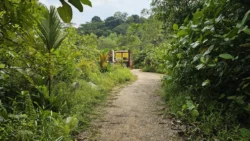 Rifle Range Nature Park Svg+xml,%3Csvg%20xmlns%3D%22http%3A%2F%2Fwww.w3