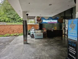 Singapore Botanic Gardens Svg+xml,%3Csvg%20xmlns%3D%22http%3A%2F%2Fwww.w3