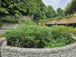 Singapore Botanic Gardens Svg+xml,%3Csvg%20xmlns%3D%22http%3A%2F%2Fwww.w3