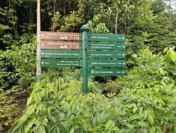 Singapore Botanic Gardens Svg+xml,%3Csvg%20xmlns%3D%22http%3A%2F%2Fwww.w3