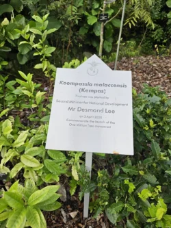 Singapore Botanic Gardens Svg+xml,%3Csvg%20xmlns%3D%22http%3A%2F%2Fwww.w3