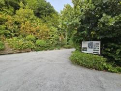 Singapore Botanic Gardens Svg+xml,%3Csvg%20xmlns%3D%22http%3A%2F%2Fwww.w3