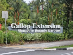 Singapore Botanic Gardens Svg+xml,%3Csvg%20xmlns%3D%22http%3A%2F%2Fwww.w3