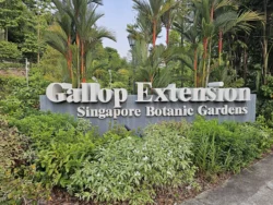 Singapore Botanic Gardens Svg+xml,%3Csvg%20xmlns%3D%22http%3A%2F%2Fwww.w3