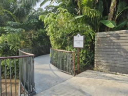 Singapore Botanic Gardens Svg+xml,%3Csvg%20xmlns%3D%22http%3A%2F%2Fwww.w3