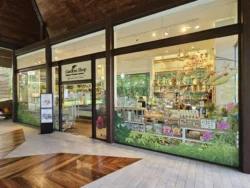 Singapore Botanic Gardens Svg+xml,%3Csvg%20xmlns%3D%22http%3A%2F%2Fwww.w3