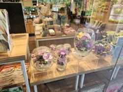 Singapore Botanic Gardens Svg+xml,%3Csvg%20xmlns%3D%22http%3A%2F%2Fwww.w3