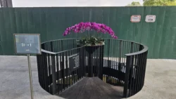 HortPark Svg+xml,%3Csvg%20xmlns%3D%22http%3A%2F%2Fwww.w3