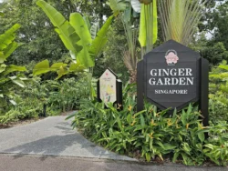 Singapore Botanic Gardens Svg+xml,%3Csvg%20xmlns%3D%22http%3A%2F%2Fwww.w3