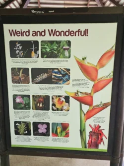 Singapore Botanic Gardens Svg+xml,%3Csvg%20xmlns%3D%22http%3A%2F%2Fwww.w3