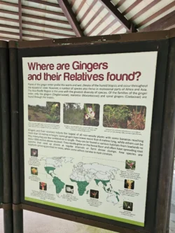 Singapore Botanic Gardens Svg+xml,%3Csvg%20xmlns%3D%22http%3A%2F%2Fwww.w3