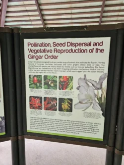 Singapore Botanic Gardens Svg+xml,%3Csvg%20xmlns%3D%22http%3A%2F%2Fwww.w3