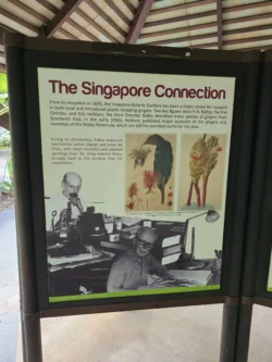 Singapore Botanic Gardens Svg+xml,%3Csvg%20xmlns%3D%22http%3A%2F%2Fwww.w3