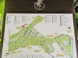 Singapore Botanic Gardens Svg+xml,%3Csvg%20xmlns%3D%22http%3A%2F%2Fwww.w3