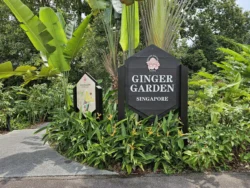 Singapore Botanic Gardens Svg+xml,%3Csvg%20xmlns%3D%22http%3A%2F%2Fwww.w3