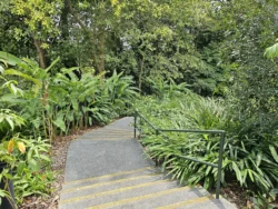 Singapore Botanic Gardens Svg+xml,%3Csvg%20xmlns%3D%22http%3A%2F%2Fwww.w3