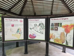 Singapore Botanic Gardens Svg+xml,%3Csvg%20xmlns%3D%22http%3A%2F%2Fwww.w3