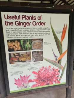 Singapore Botanic Gardens Svg+xml,%3Csvg%20xmlns%3D%22http%3A%2F%2Fwww.w3