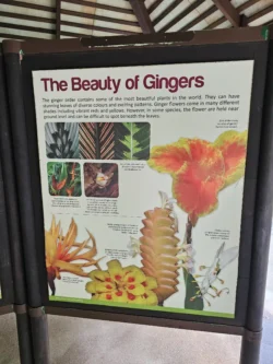 Singapore Botanic Gardens Svg+xml,%3Csvg%20xmlns%3D%22http%3A%2F%2Fwww.w3