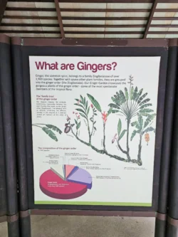 Singapore Botanic Gardens Svg+xml,%3Csvg%20xmlns%3D%22http%3A%2F%2Fwww.w3