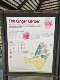 Singapore Botanic Gardens Svg+xml,%3Csvg%20xmlns%3D%22http%3A%2F%2Fwww.w3