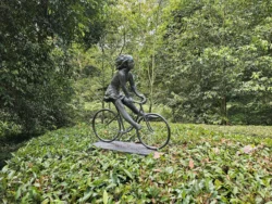 Singapore Botanic Gardens Svg+xml,%3Csvg%20xmlns%3D%22http%3A%2F%2Fwww.w3