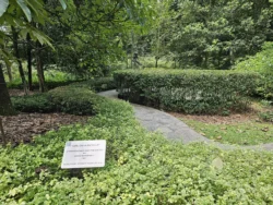 Singapore Botanic Gardens Svg+xml,%3Csvg%20xmlns%3D%22http%3A%2F%2Fwww.w3