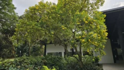 HortPark Svg+xml,%3Csvg%20xmlns%3D%22http%3A%2F%2Fwww.w3