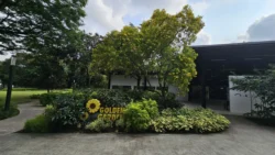 HortPark Svg+xml,%3Csvg%20xmlns%3D%22http%3A%2F%2Fwww.w3