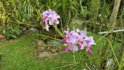 HortPark Svg+xml,%3Csvg%20xmlns%3D%22http%3A%2F%2Fwww.w3