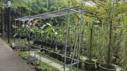 HortPark Svg+xml,%3Csvg%20xmlns%3D%22http%3A%2F%2Fwww.w3