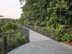 Singapore Botanic Gardens Svg+xml,%3Csvg%20xmlns%3D%22http%3A%2F%2Fwww.w3