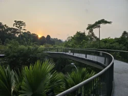 Singapore Botanic Gardens Svg+xml,%3Csvg%20xmlns%3D%22http%3A%2F%2Fwww.w3