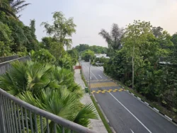 Singapore Botanic Gardens Svg+xml,%3Csvg%20xmlns%3D%22http%3A%2F%2Fwww.w3