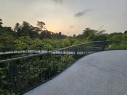 Singapore Botanic Gardens Svg+xml,%3Csvg%20xmlns%3D%22http%3A%2F%2Fwww.w3