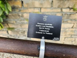 Singapore Botanic Gardens Svg+xml,%3Csvg%20xmlns%3D%22http%3A%2F%2Fwww.w3