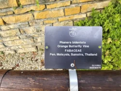 Singapore Botanic Gardens Svg+xml,%3Csvg%20xmlns%3D%22http%3A%2F%2Fwww.w3