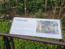 Singapore Botanic Gardens Svg+xml,%3Csvg%20xmlns%3D%22http%3A%2F%2Fwww.w3